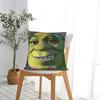 Pillow Case Shreks Pun Square  Pillow Cover For Sofa Home Decoration Retro Trendy Pillowcases