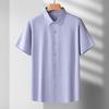 Men's Plus Size Striped Short Sleeve Shirt