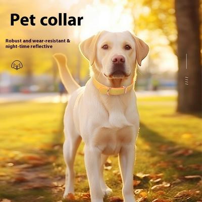Hunde – Hundehalsbänder & Leinen