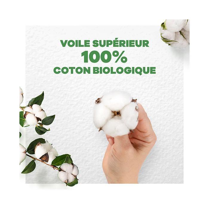 Always Nouveau - Serviettes Cotton Protection Normal Plus