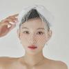 Face Net Ribbon Hairband JP-25-090HB