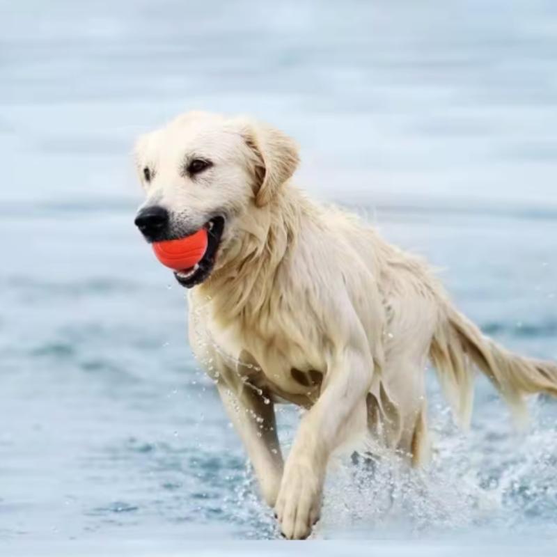 Koerte mänguasi kummist palli hammustusekindel pallimänguasi koertele kutsikale Pitbull punase värvi ühevärvilise palliga S-XL lemmikloomatarbed