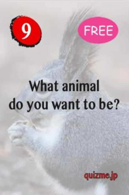 Quiz English Conversation Card Game Student Pack 1 Learning Me! [English Material]