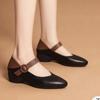 Retro Chunky Heels, Pointed Toe, Elegant Shallow Toe Single Shoes, New Wedge Heel Women's Shoes
