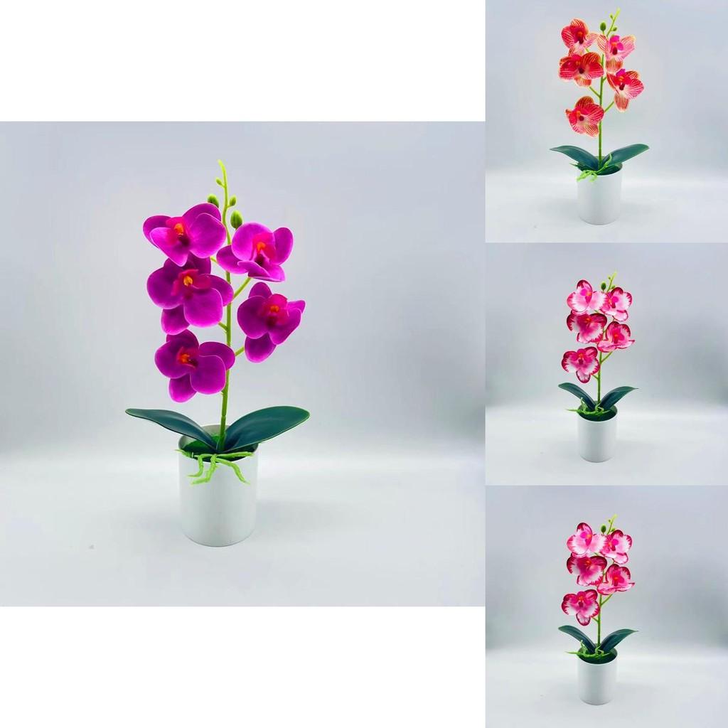 Artificial Phalaenopsis Aphrodite Plant With Silk Flowers For Home Decor And Gift Idea