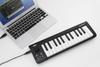 KORG microKEY MIDI-Tastatur Bus enthält (25 Tasten, USB, strombetrieben, Plugins) - DTM/Controller - MICROKEY-25
