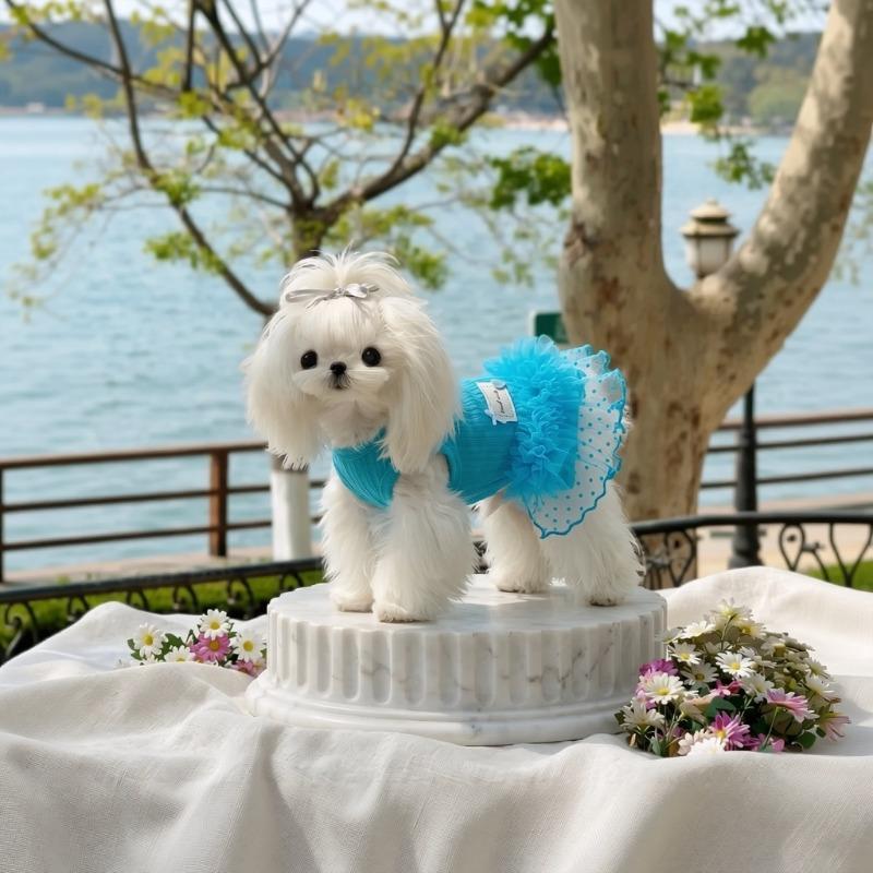 Spring and Summer Fresh Pet Dress - Lightweight Pet Dog and Cat Breathable Puff Sleeve Dress