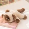 Roter Panda Kühlschrankmagnet Plüschtier Aufkleber Puppe Handflächengroßes Kuscheltier Schreibtischdeko Mädchen Geburtstagsgeschenk