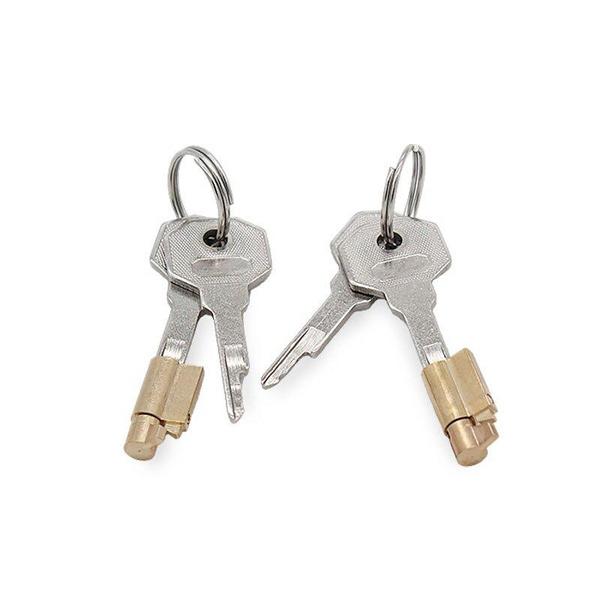 1 Stück Universal Cage Stealth Lock Keys Zubehör