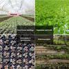 M-10Pcs Seedling Trays Plastic Gardening Germination Trays Black Seedling Container Garden Supplies For Vegetable Flower