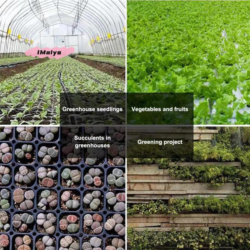 M-10Pcs Seedling Trays Plastic Gardening Germination Trays Black Seedling Container Garden Supplies For Vegetable Flower