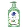 Chao Neng Antibacterial Hand Wash, Watery Tea Scent