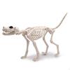 Dog Skeleton Standing Lightweight for Halloween