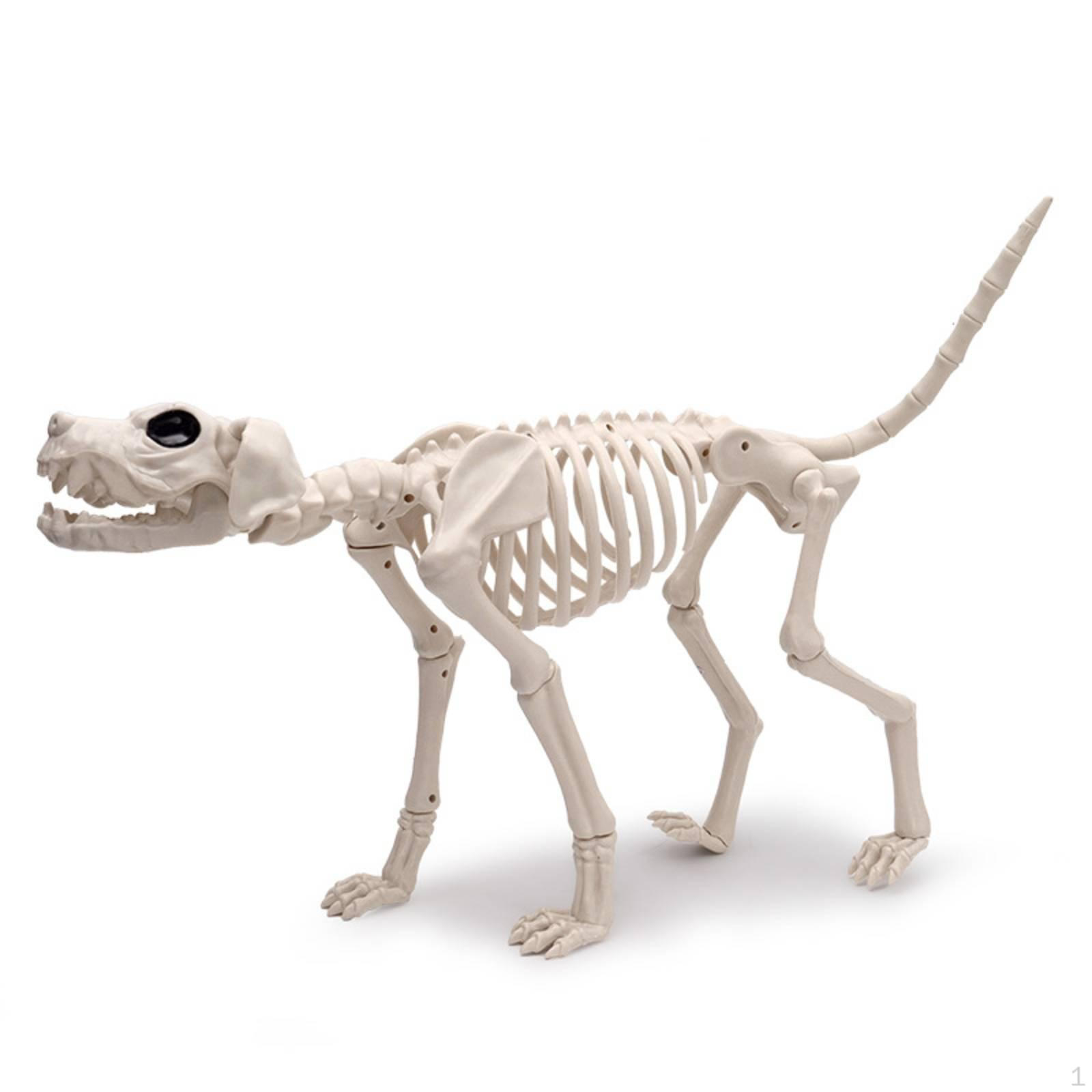 Dog Skeleton Standing Lightweight for Halloween