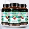 GREVIP Berberin HCl 1200mg Kapseln 120 Stück — Antioxidative Ernährung, Verdauungswohlbefinden, Tägliche Unterstützung