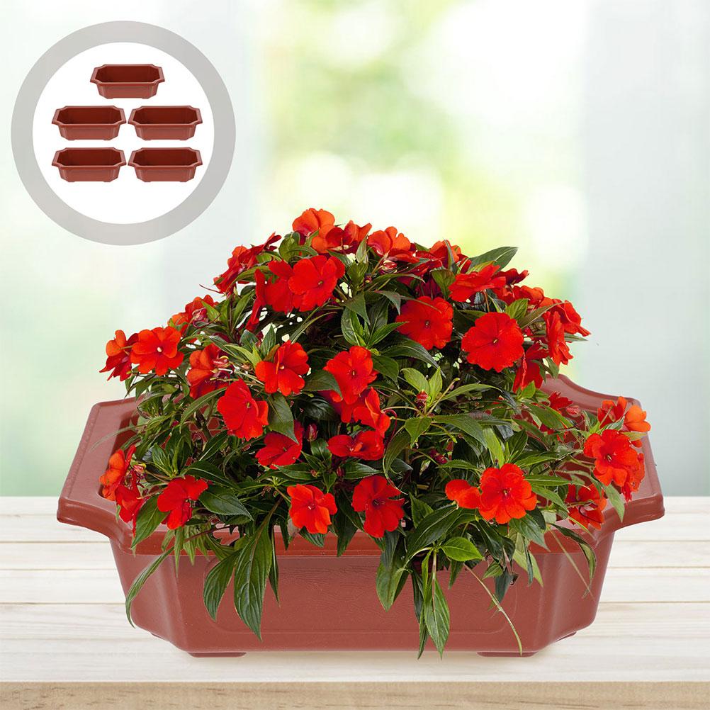 10 Pcs Flowerpot Large Bonsai Plastic Tree Indoor Plant Houseplants Potted Pots Outdoor Office