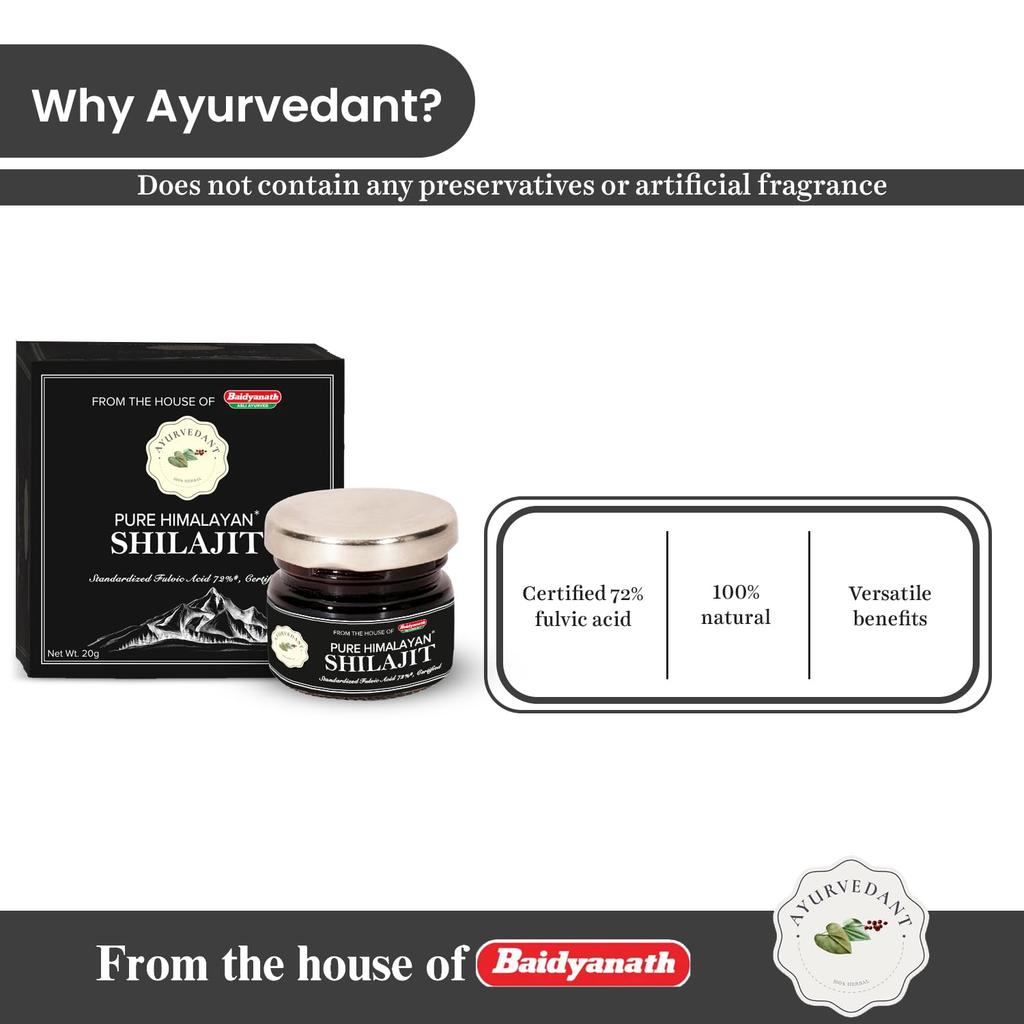 Baidyanath Ayurvedant Pure Himalayan Shilajit Resin 20g Certified for Stamina Boost and Energy Support