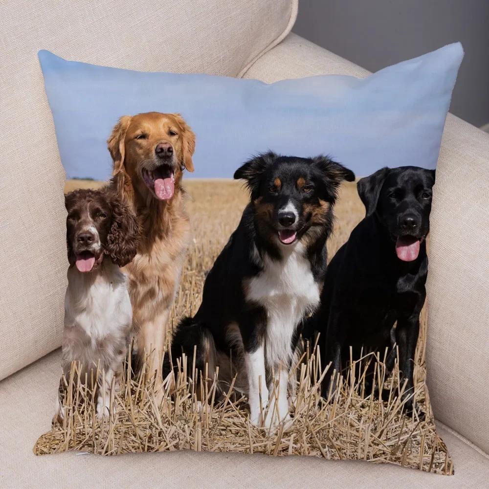 Trykt Putetrekk for Kjæledyr Skottland Border Collie Mykt Plysj Putetrekk Dekor Søtt Hundeputetrekk for Sofa Bil