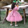 Girls Princess Embroidery Baby Flower Wedding Christmas Party Tutu Dress Teenager Children Kids Elegant Dress