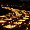 Tealight Clear Burn Time 8 50 Pieces Candles, Cup, Approx. Hours,
