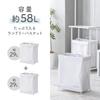 Daiya FLaundry 058162 Laundry Laundry Basket with Large Foldable Laundry Laundry Perfect for Dressing Laundry W X L X H Cart, 2-Tier Casters, Slim,