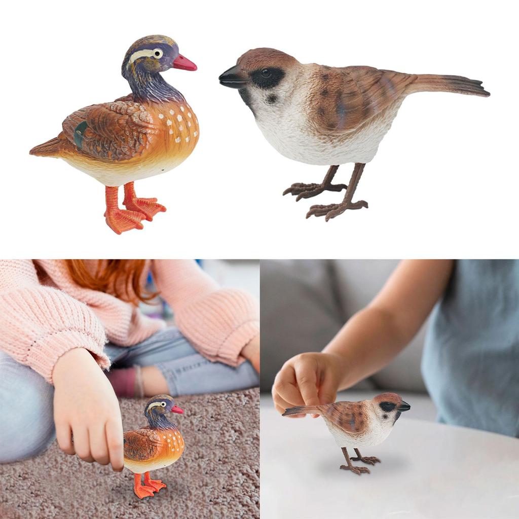 Realistic Bird Figure DIY Crafts Handpainted for Boys Home Decor Bird Figurines for Home Desktop Party Birthday Decoration