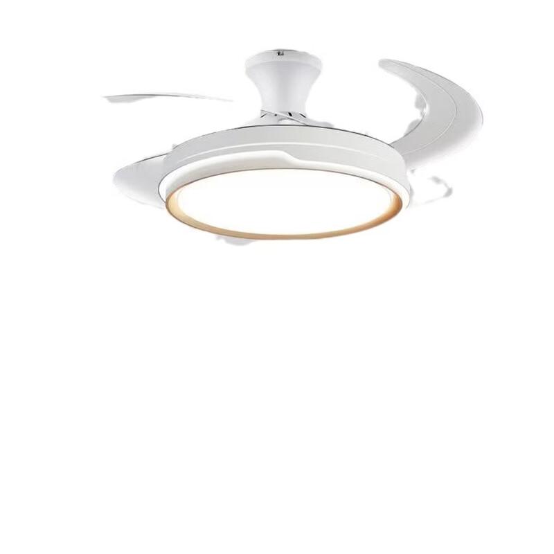 Elegant 48-inch Invisible Blade Ceiling Fan Light