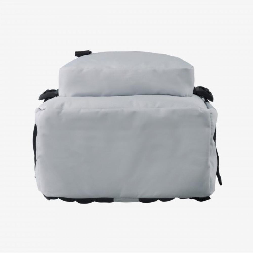 The North Face Standard Backpack Ice Gray Nm2dr05l