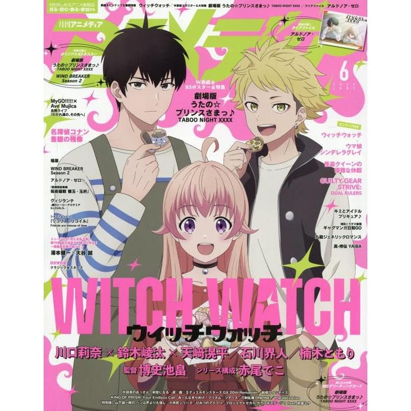Gebrauchte Animedia Magazine 2025 Monatsausgaben – 1 bis 12 – 12 Typen wählbar / Japanisches Anime-Magazin