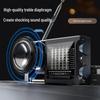 Newmine Portable Rechargeable Radio Speaker T-6629 CN plug (adapter included)