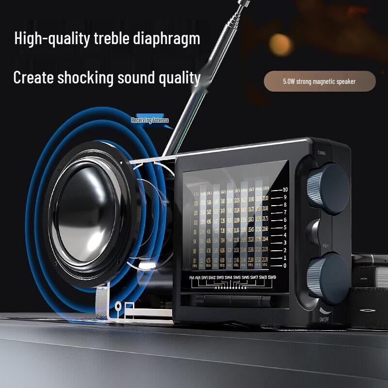 Newmine Portable Rechargeable Radio Speaker T-6629 CN plug (adapter included)