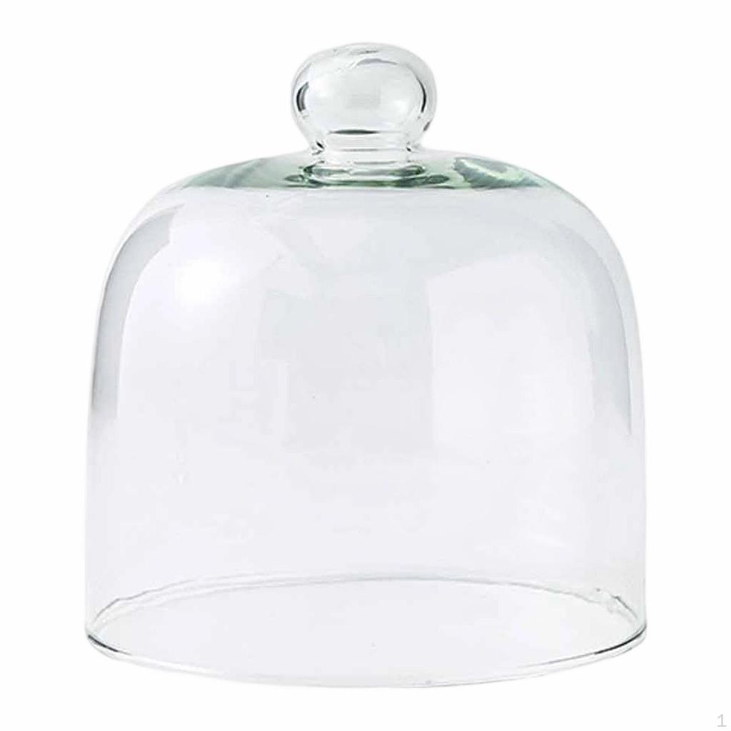 Cake Lid Display Cloche for Food Restaurants Home