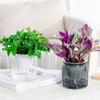 Modern Self Watering Hydroponic Plants Pot Plastic Removable Planter Mini Succulent Planter Tabletop Vase Office Bonsais Decor