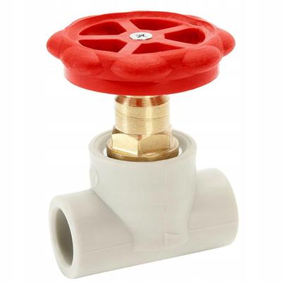 Ppr Pn25 Straight Poppet Valve 25