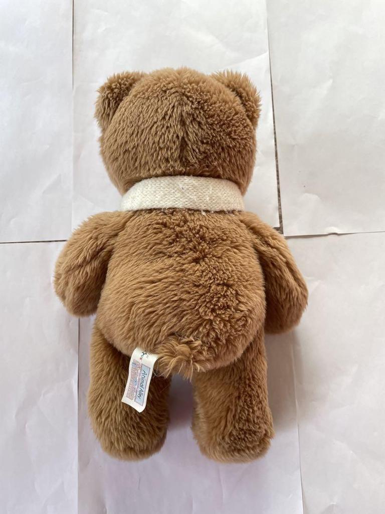 [USED] Teddy Bear