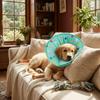 Comfortable Dog Recovery Collar Soft Cat Protective Collar Pet Cone Collar  Grooming