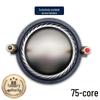 75-Core Titanium Diaphragm Voice Coil Tweeter, 74.5mm Bracket, 105mm Coil for High-Quality Stage Sound