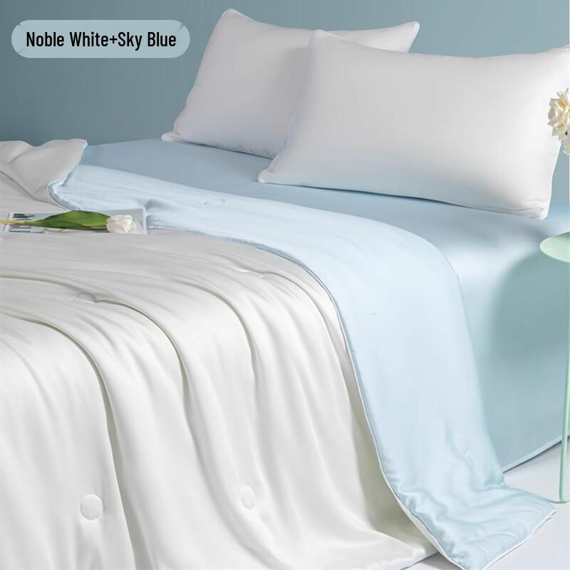 OLOEY Cooling Ice Silk Summer Quilt Set