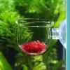 Transparent Aquarium Red Worm Feeder Suction Cup Fish Feeding Cup Container AccessoryGlass Crack Cup