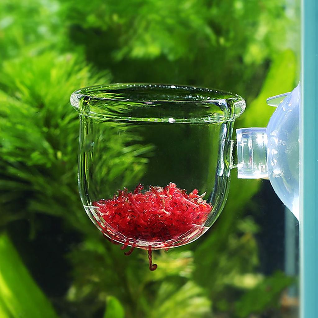 Transparent Aquarium Red Worm Feeder Suction Cup Fish Feeding Cup Container AccessoryGlass Crack Cup