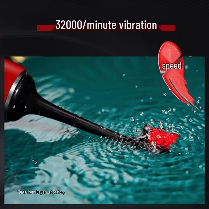 BAIR G3 Sonic Electric Toothbrush