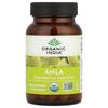 Organic India Amla Veggie Capsules 90 Count