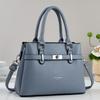 Lychee Pattern Texture Atmospheric Simple Handbag Classic Retro New Niche Design Sense