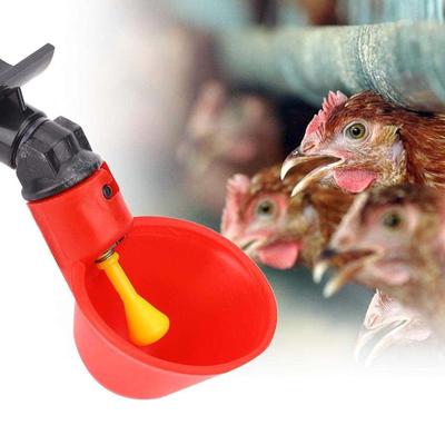 Otomatik Tavuk Suluklar Suluklar Kümes Hayvanları Sulama Bardakları Kaseler Kırmızı Dağıtıcı