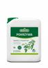 Nawóz Z Pokrzywy Stymulator Do Pomidora Ogórka Naturalny Biovita 5L