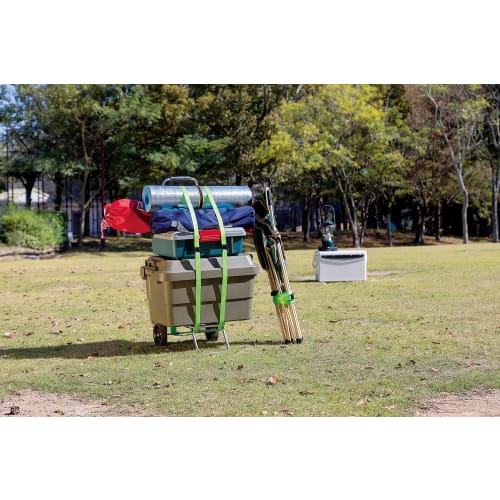 E-Value Cam Buckle Tie-Down Strap, 25mm X 4m, Lime Green, BT-2540LG