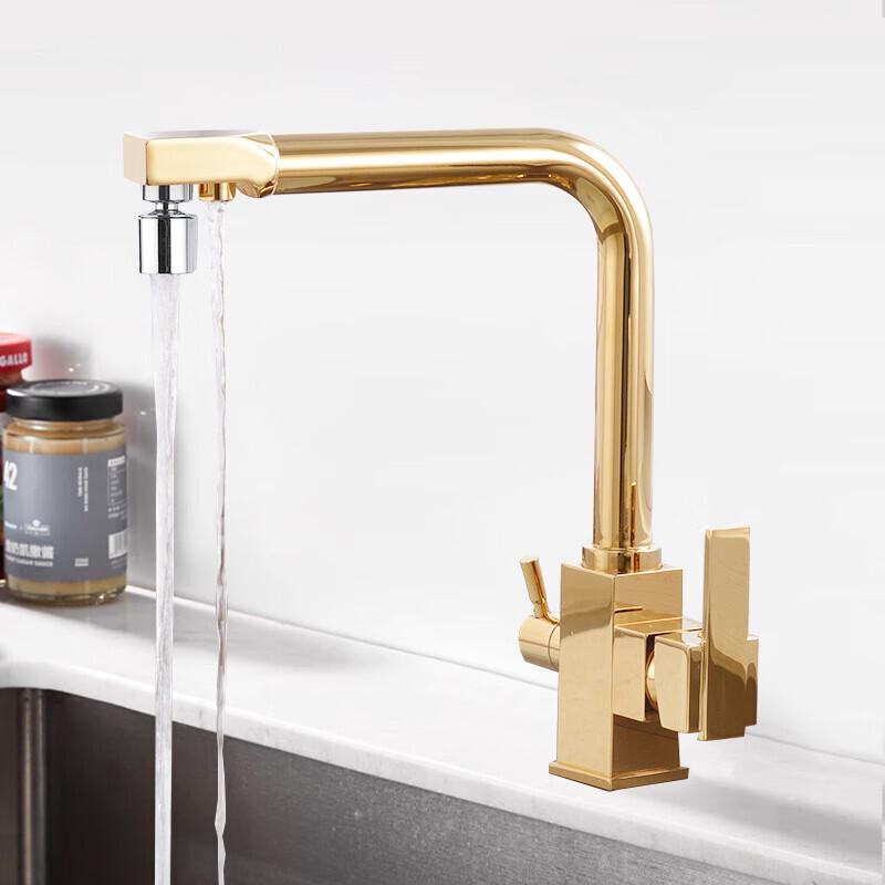 TLXT Golden Dual-Mode Kitchen Faucet with Integrated Purifier