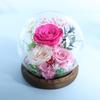 Flor eterna cubierta de vidrio esférico caja de regalo Día de San Valentín Día de la Madre regalo de Navidad flor real de Yunnan flor rosa