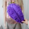 Ostrich Feathers 30-35Cm Wedding Road Guide Table Flower Ornament Ostrich Hair Decorative Clothing Accessories Diy