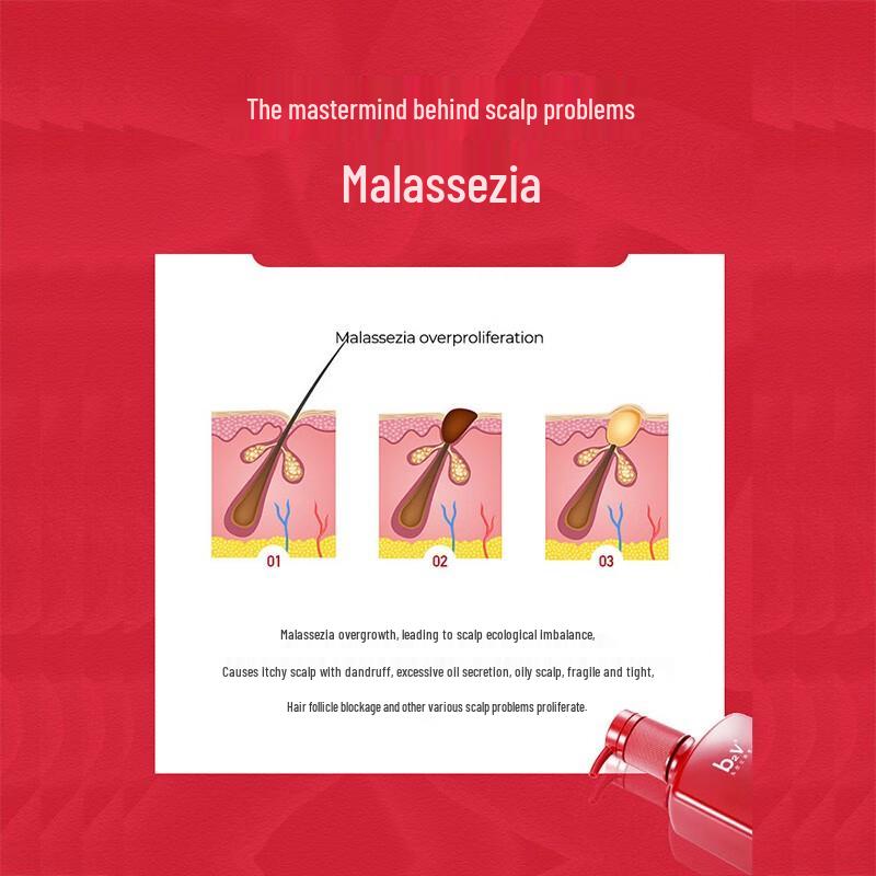 b2v Red Algae Anti-Dandruff Shampoo